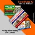 Ceiling Works Visiting Card CDR File