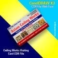 Ceiling Works Visiting Card CDR File